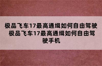 极品飞车17最高通缉如何自由驾驶 极品飞车17最高通缉如何自由驾驶手机